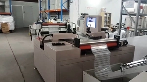 Roll-to-Roll Punch Press